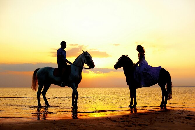 Horse Riding in Antalya,Belek,Lara Beach(Sunrise,Sunset,Day Time) - Cancellation and Weather Rules