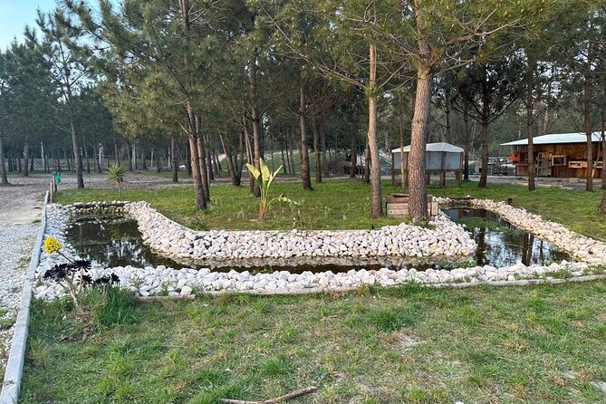 Horse Riding in Aveiro - Ílhavo - Is the $29.09 Price Fair?