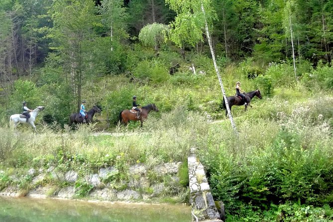 Horse Riding in Bled - Starting at Mamut Slovenia in central Bled