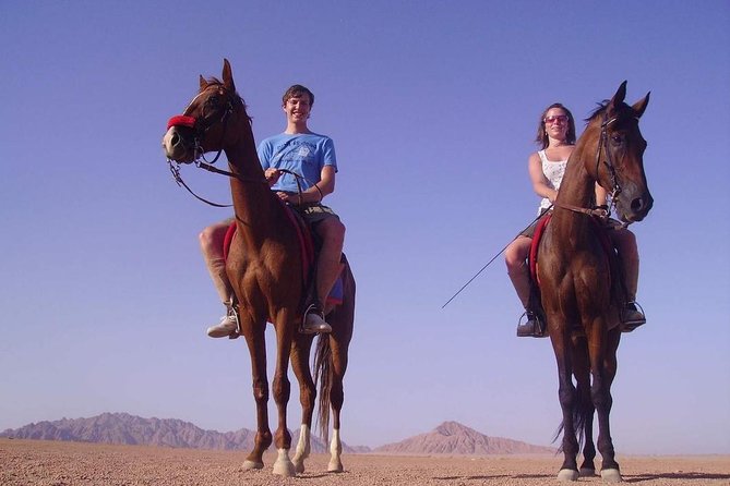 Horse Riding in Dahab - Key points to know before you book