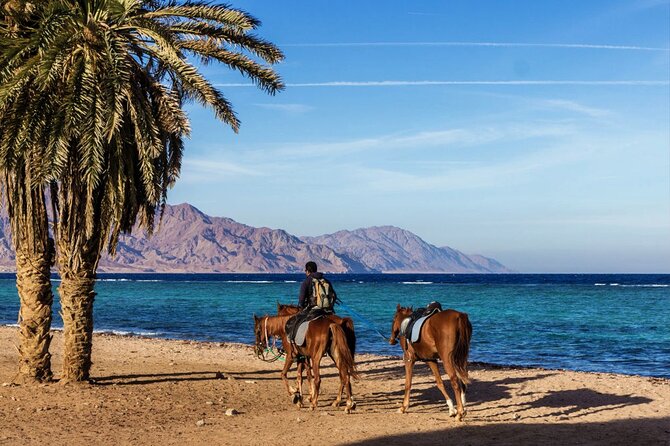 Horse Riding in Dahab - Choosing your route across the Sinai
