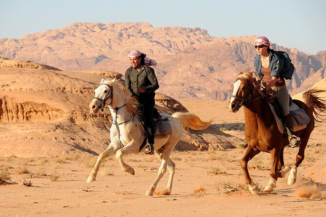 Horse Riding in Dahab - Hotel pickup makes the $25 price easier to judge