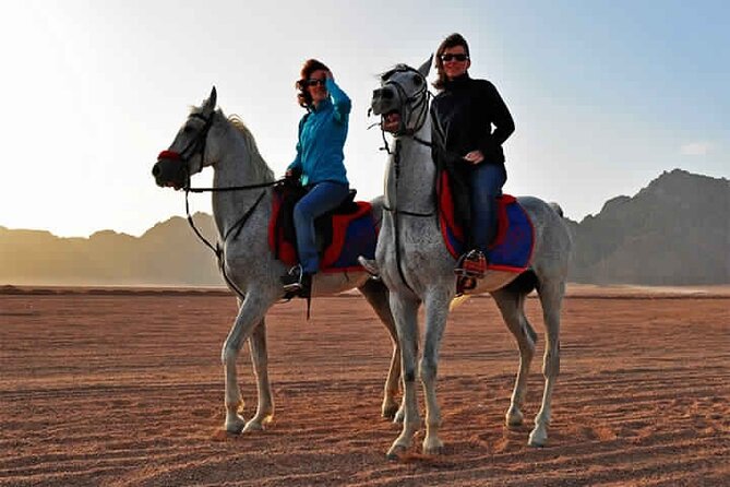 Horse Riding in Dahab - What the one-hour Blue Lagoon ride feels like