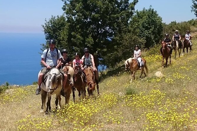 Horse Riding in Fethiye - Key points at a glance
