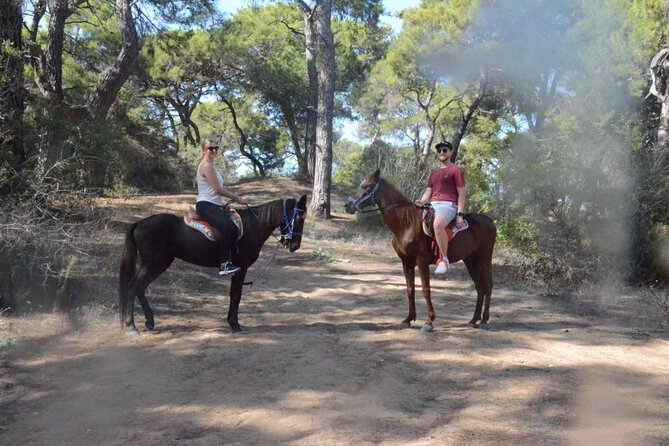 Horse Riding in Manavgat Side Forest and Beach - Meeting the horses and learning the basics