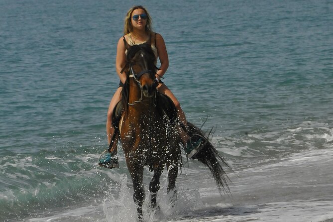 Horse Riding in Manavgat Side Forest and Beach - How much riding do you get for $56.72?