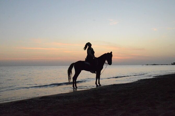 Horse Riding in Manavgat Side Forest and Beach - A closer look at the named route areas
