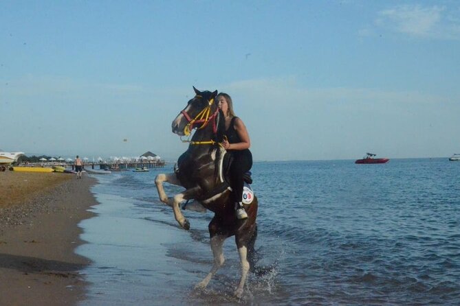 Horse Riding in Manavgat Side Forest and Beach - From Side hotel to the horse club