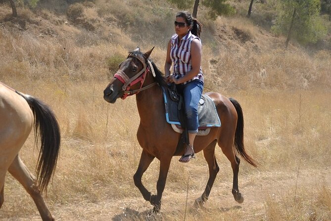 Horse Riding in Marmaris & Icmeler - What the strongest feedback tells you
