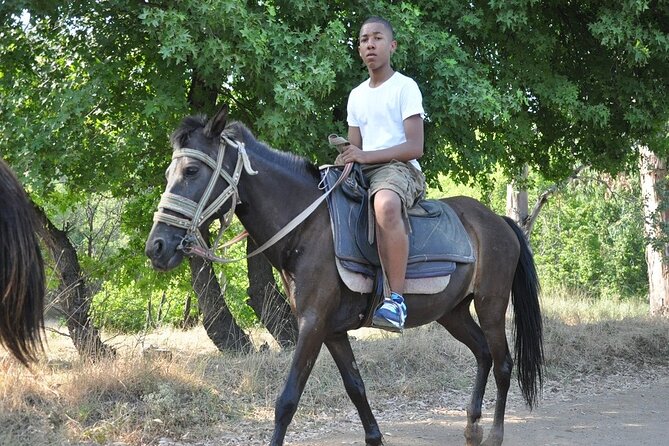 Horse Riding in Marmaris & Icmeler - What the two-hour ride is like