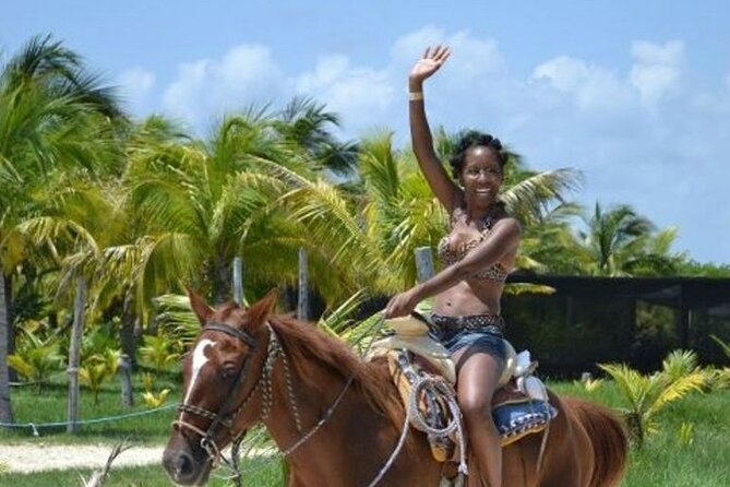 Horse Riding in Miami's Countryside - Leaving Miami for Quail Heights
