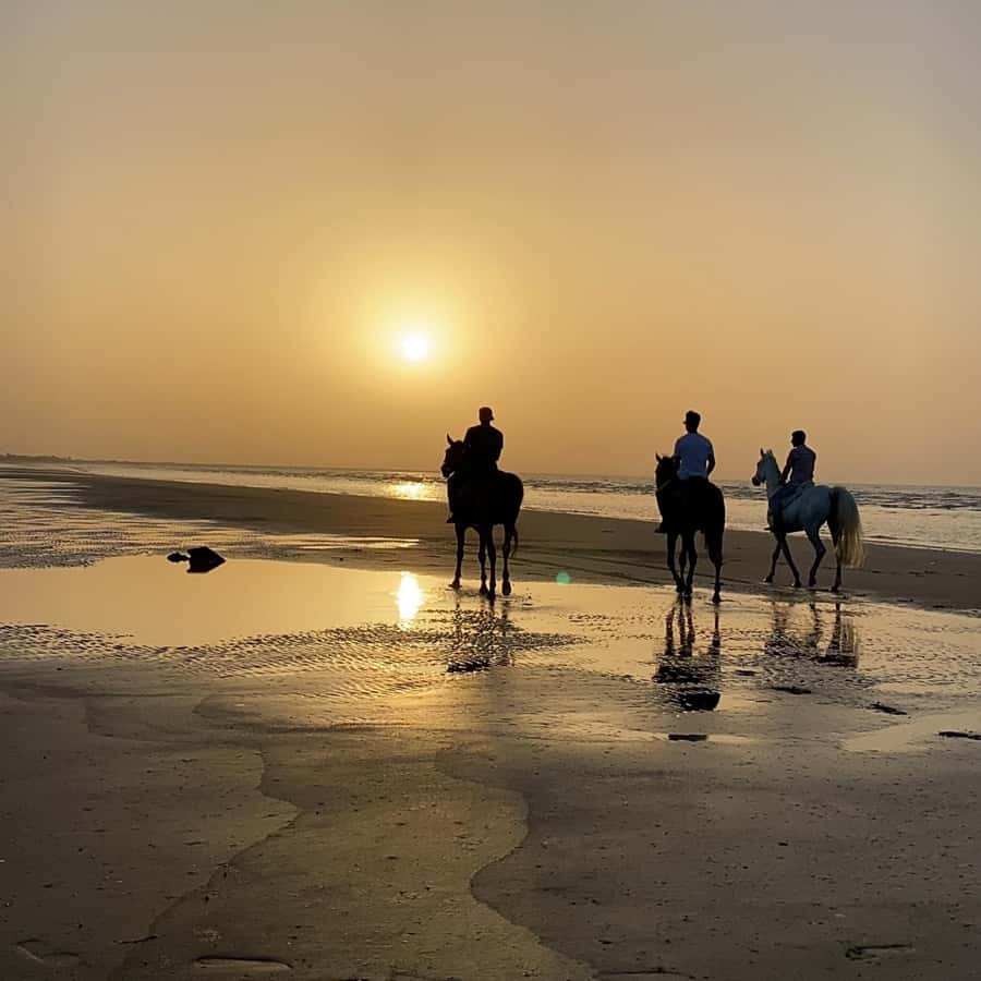 Horse riding in muscat beach - Key points at a glance