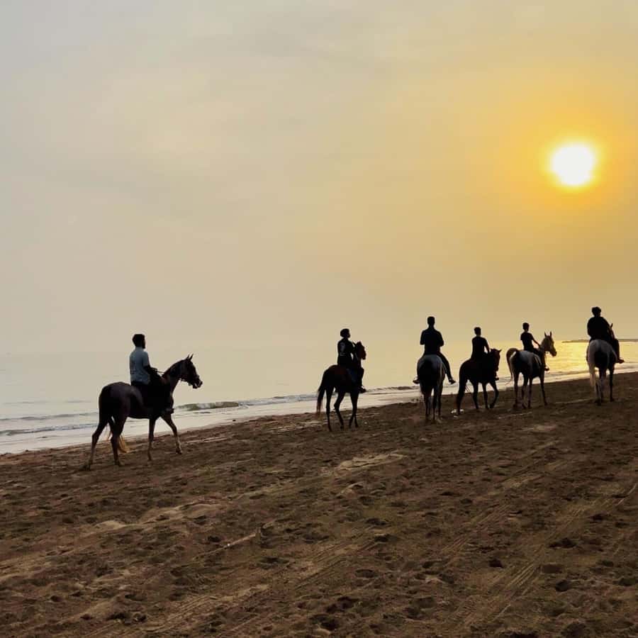 Horse riding in muscat beach - Why Muscat beach makes a good riding spot