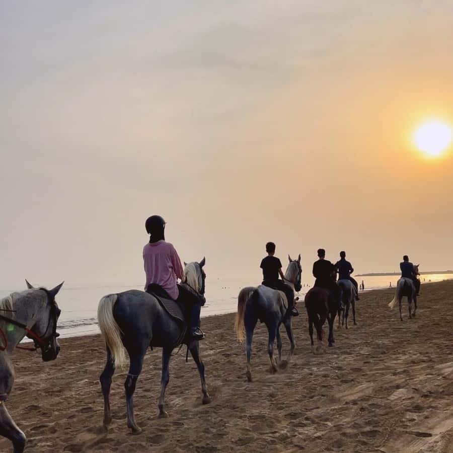 Horse riding in muscat beach - Sunset timing and the best feel of the coast