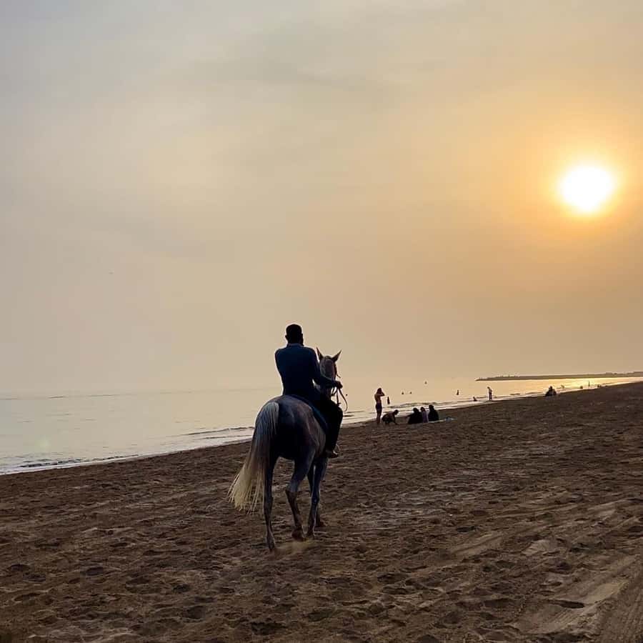 Horse riding in muscat beach - What to wear and bring to the beach