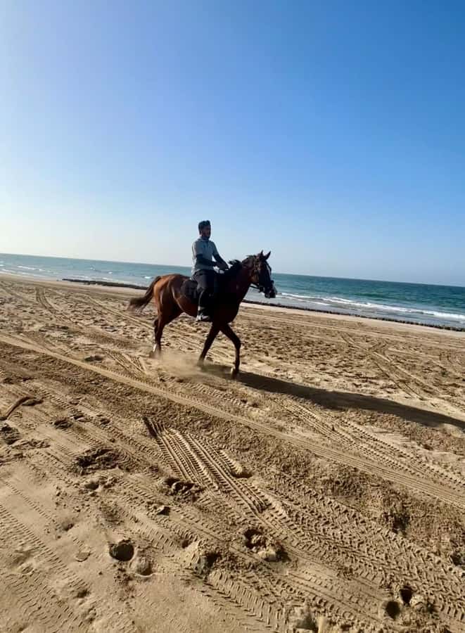 Horse riding in muscat beach - Horse welfare and choosing with care