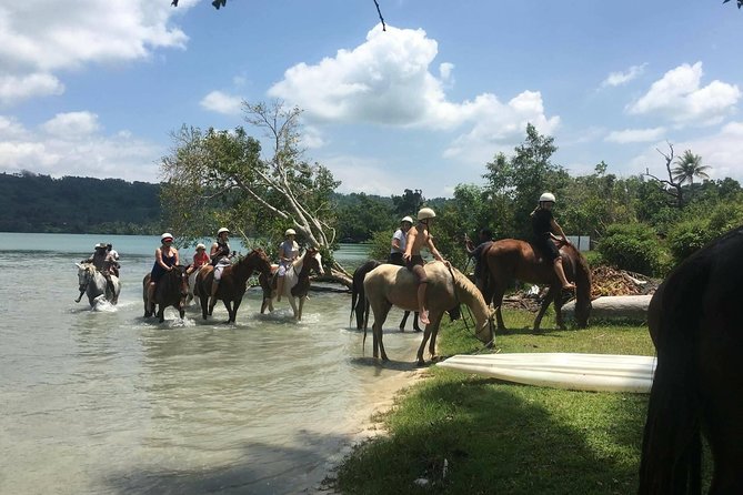 Horse Riding in Port Vila with Yumi Tours - From Port Vila to Club Hippique in about 10 minutes