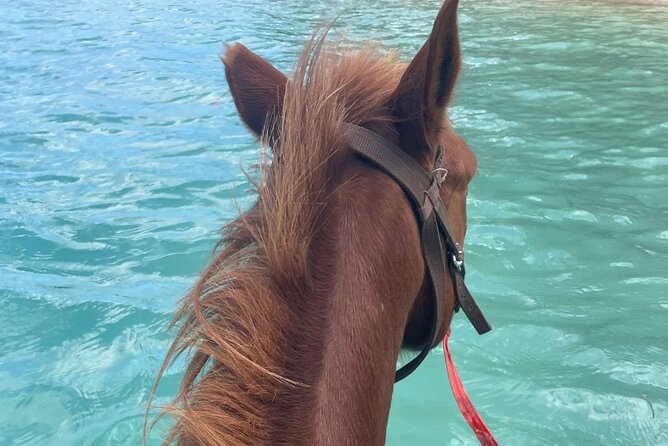 Horse Riding in Port Vila with Yumi Tours - The bareback ride into the bay