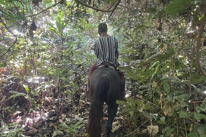 Horse Riding in Port Vila with Yumi Tours - Useful preparation for the day