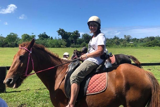 Horse Riding in Port Vila with Yumi Tours - Choosing a horse when you are new to riding