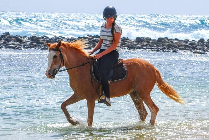 Horse Riding in Sal Island - Cabo Verde - Key points to know before you saddle up