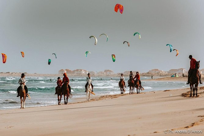 Horse Riding in Sal Island - Cabo Verde - Horses, guides, and the beginner question