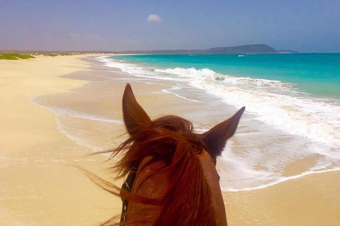 Horse Riding in Sal Island - Cabo Verde - Is $60.25 good value?