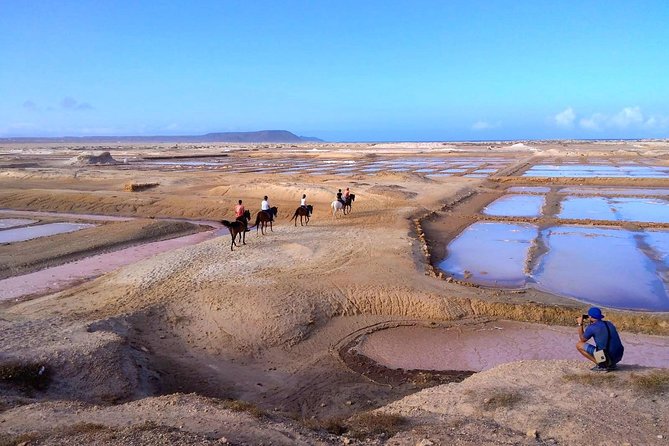 Horse Riding in Sal Island - Cabo Verde - Who should book this Sal Island horse ride?