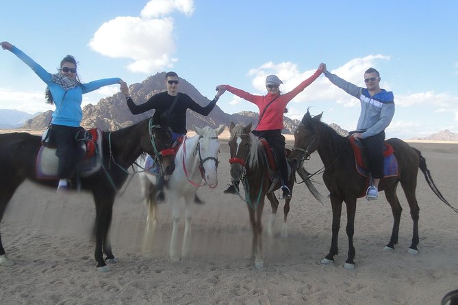 Horse riding in Sharm el sheikh desert - A cooler way to see the Sharm desert