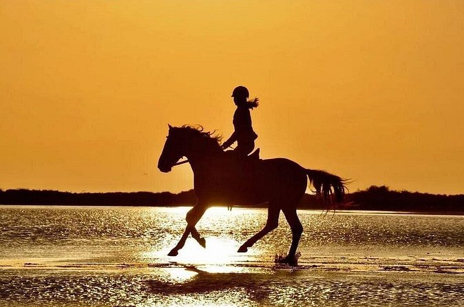 Horse Riding in Side - Horse Tour in Manavgat Forest and Beach - Hotel pickup keeps the day simple