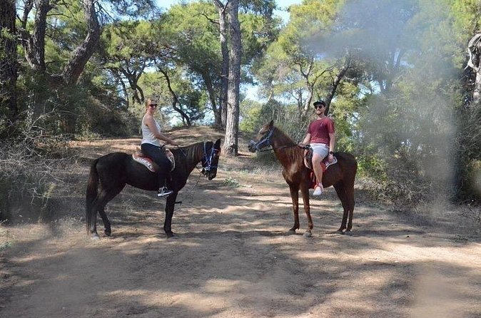 Horse Riding in Side - Horse Tour in Manavgat Forest and Beach - What the tour does especially well