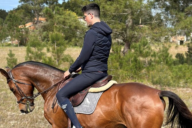 Horse Riding in the Countryside - Key points to know before you book