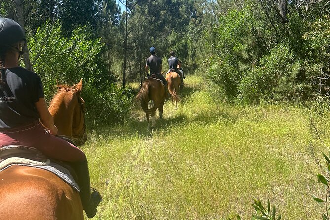 Horse Riding in the Countryside - What happens before you reach the trail