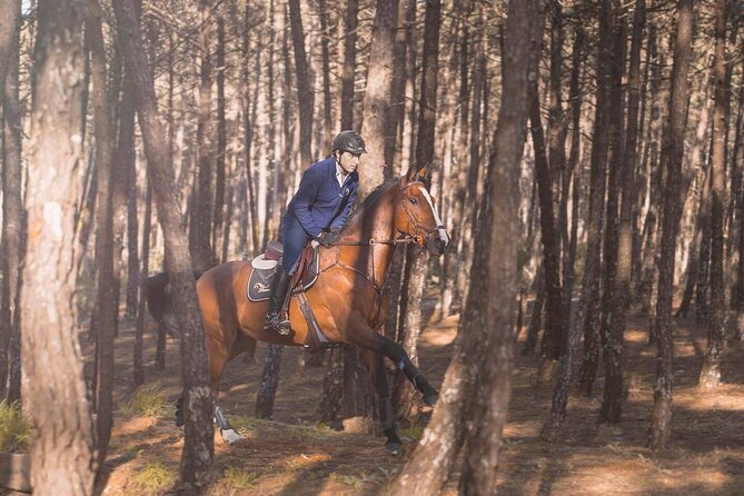 Horse Riding in the Countryside - The route, from stable to countryside
