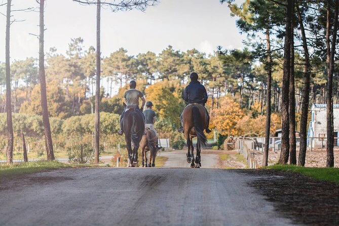Horse Riding in the Countryside - Why the horses matter so much