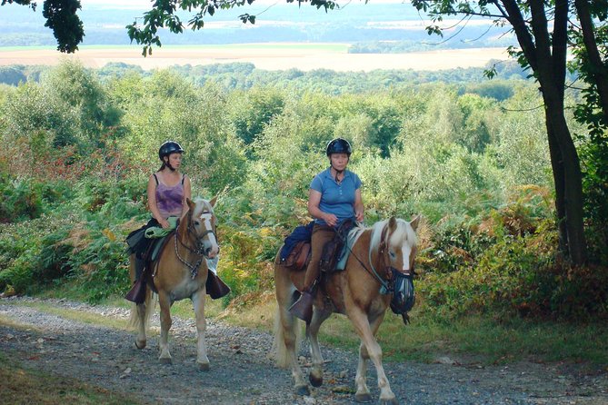 Horse riding in the French countryside between Paris and Lille - Key points to know before booking