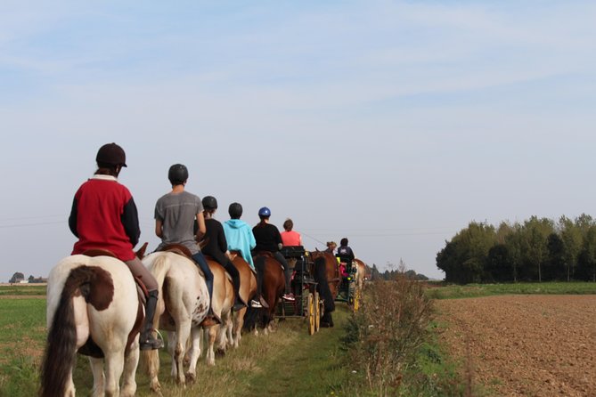 Horse riding in the French countryside between Paris and Lille - A family farm in Trefcon, between Paris and Lille