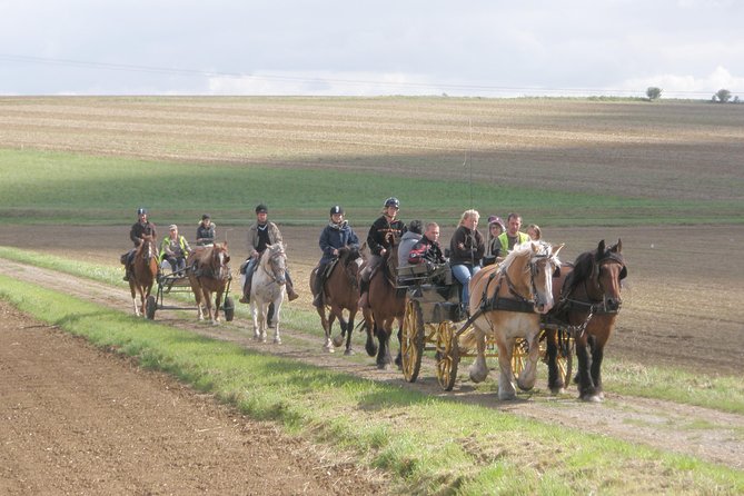 Horse riding in the French countryside between Paris and Lille - What the two-hour timing really means