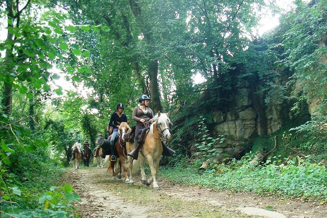 Horse riding in the French countryside between Paris and Lille - Riding quiet tracks through Picardy