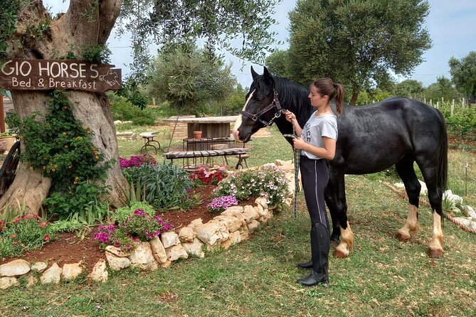 Horse riding in the Gargano National Park - Starting at Gio Horses B&B e Ranch