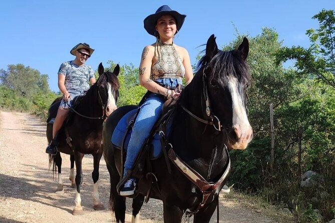Horse riding in the Gargano National Park - Meeting your horse and learning the basics
