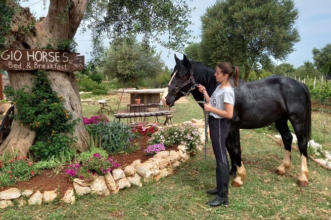 Horse riding in the Gargano National Park - Panoramic stops toward the Tremiti Islands