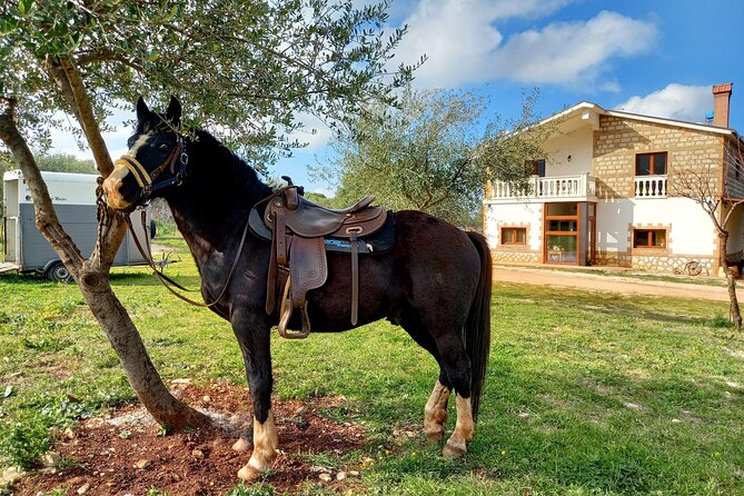 Horse riding in the Gargano National Park - Why the biodiversity matters