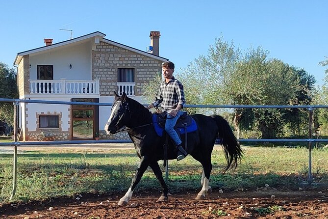 Horse riding in the Gargano National Park - Is one hour enough?
