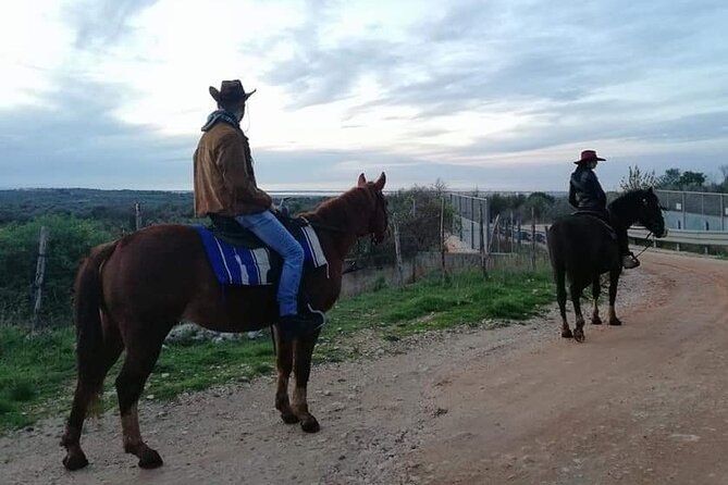 Horse riding in the Gargano National Park - Riding at a walking pace
