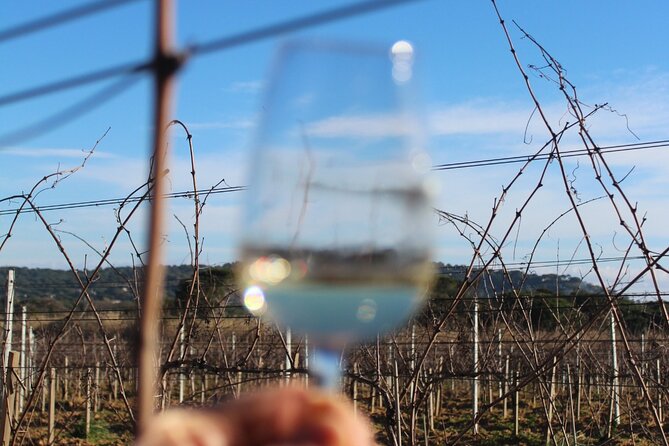 Horse riding in the vineyards of Grimaud + wine tasting - A quieter side of the Saint-Tropez area