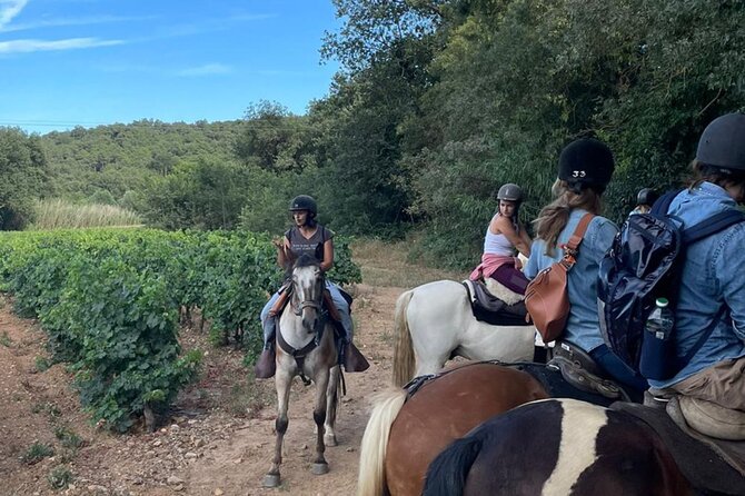 Horse riding in the vineyards of Grimaud + wine tasting - Finishing with wine at a family estate