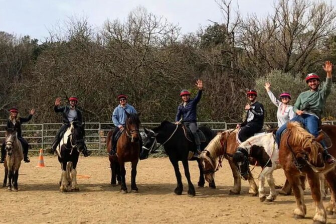 Horse riding in the vineyards of Grimaud + wine tasting - What the $86.82 price delivers