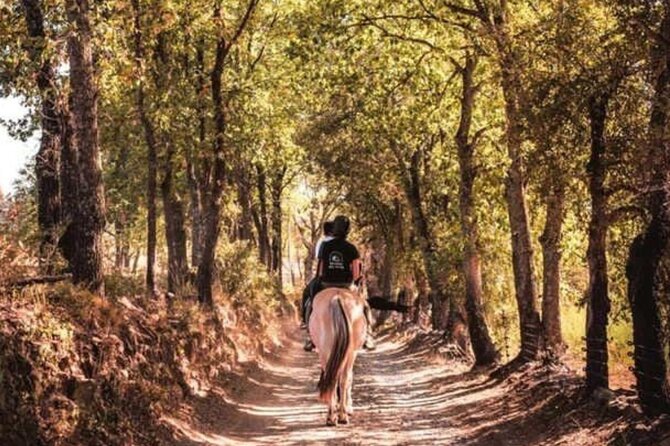 Horse riding in the vineyards of Grimaud + wine tasting - Meeting the horses at 3 pm