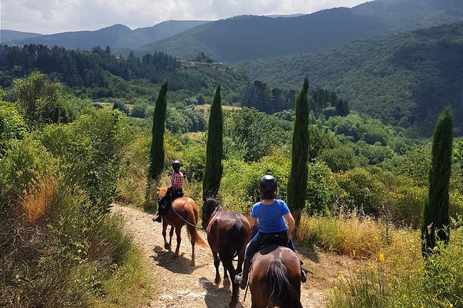 Horse Riding in Tuscany for Experienced Riders: Full-day Trail Ride - Why this is more than a one-hour horse ride